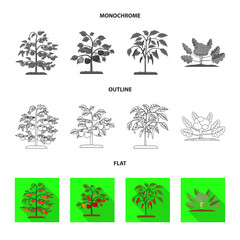 Vector illustration of greenhouse and plant icon. Collection of greenhouse and garden stock vector illustration.