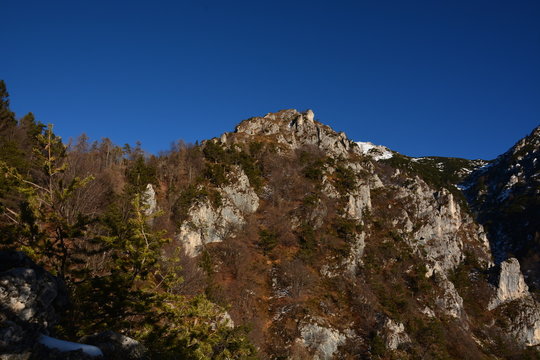 prealpi