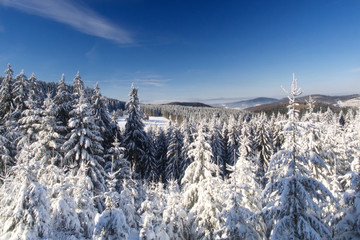 Panorama vom verschneiten Winterwald mit Sonne