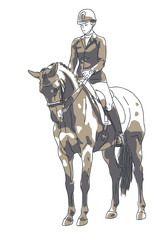 Vector illustration of the rider and the horse stand still.