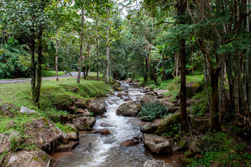 Fluss im paradisischem Dschungel im Norden von Thailand