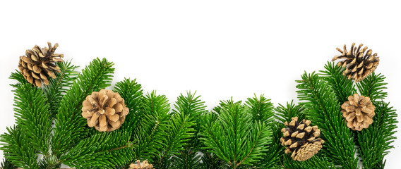 Fototapeta na wymiar Natural green spruce twig isolated on white background
