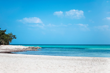 Fototapeta na wymiar Caribbean turquoise sea beach shore with white sand, stunning view under blue sky. Varadero Beach, Cuba. Outdoors, copy space.