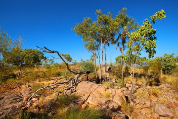 Australian outback wilderness