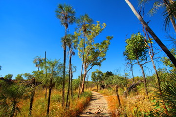 Australian outback wilderness