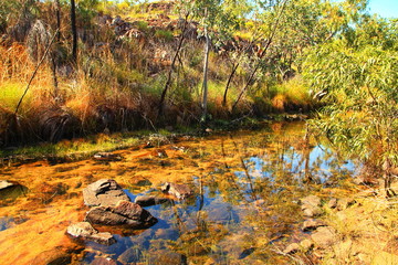 Obraz na płótnie Canvas Secret water stream in Australian outback