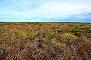 Fototapeta premium Vast flat outback in Australia
