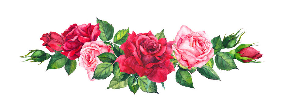 Pink and red roses. Watercolor flowers