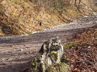 Pathway in the Chartreuse mountain