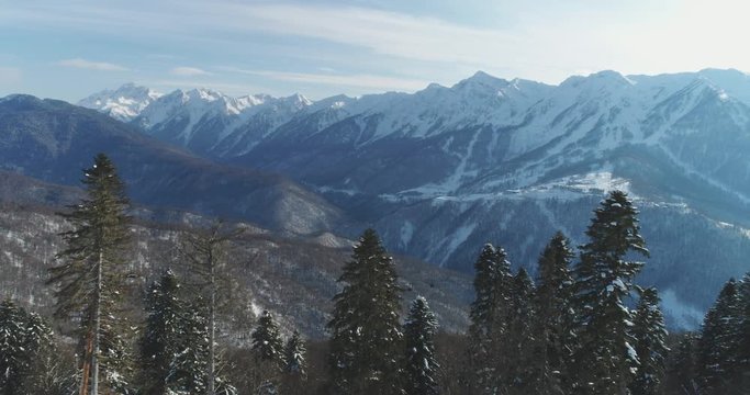 Snow-capped trees and mountains in background. Sochi, Krasnaya Polyana, Rosa Khutor, aerial photography with copter. Rest in the mountains, vacation in nature. Winter sports. Caucasus.