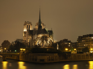 Fototapeta na wymiar Cathedral Notre Dame de Paris