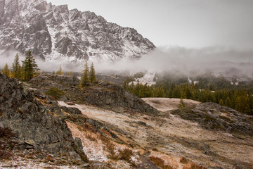 Altai mountains