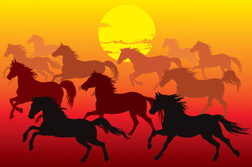 Illustration silhouette horse at sunset - Vector