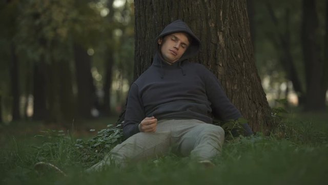 Vulnerable alcoholic sleeping under tree in park, careless and crazy youth