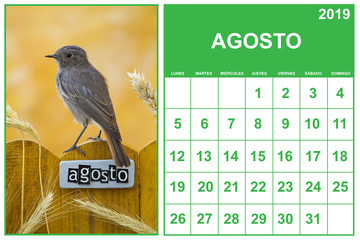 August 2019 calendar on spanish with a bird perched on an August decorated fence, landscape orientation