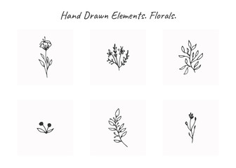 Vector set of floral hand drawn elements in elegant and minimal style.