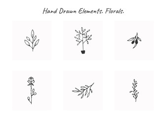 Vector set of floral hand drawn elements in elegant and minimal style.