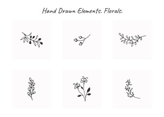 Vector set of floral hand drawn elements in elegant and minimal style.