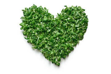 Fototapeta na wymiar Heart from spinach leaves, isolated. Love healthy food
