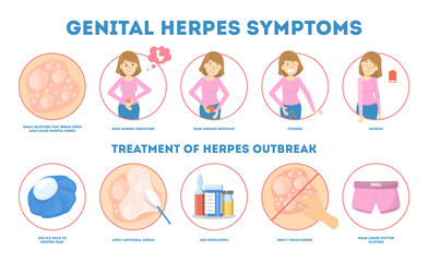 Genital herpes symptoms. Infectious dermatology disease illustration - obrazy, fototapety, plakaty