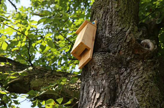 A house for birds and bats in the park.