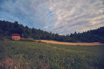 View of hilly landscape in the summertime.