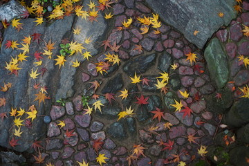 石畳に積もる紅葉の落ち葉