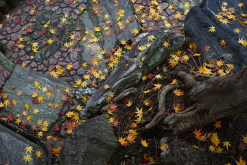石畳に積もる紅葉の落ち葉