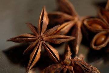 Badiane / Anis étoilé