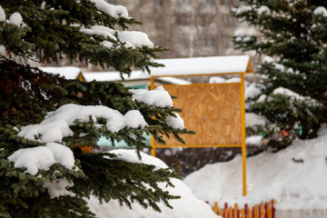 Fir-tree under snow at the winter