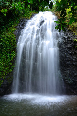 Fototapeta na wymiar View of a cascading waterfall in Tahiti, French Polynesia