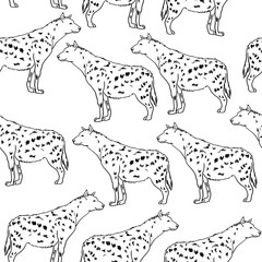 Hyena vector seamless pattern isolated on background. 
