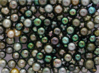 Black and green Tahitian pearls in bulk for sale in French Polynesia