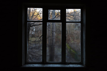 View from the window in an abandoned house through the wet glass at the trees.