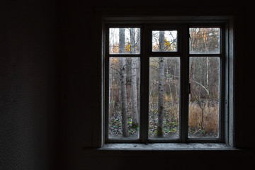 View from the window in an abandoned house through the wet glass at the trees. - 240369022