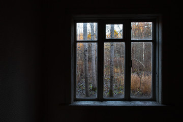 View from the window in an abandoned house through the wet glass at the trees.