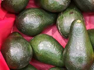 avocado in esposizione per la vendita in cassetta
