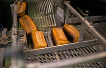 bread production