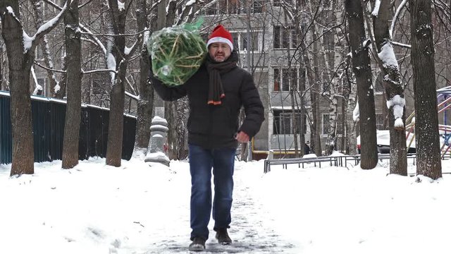 Man carries a Christmas tree packed in a grid just bought at the Christmas market