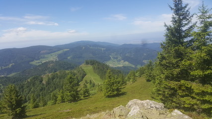 Blick vom Schwarzwald