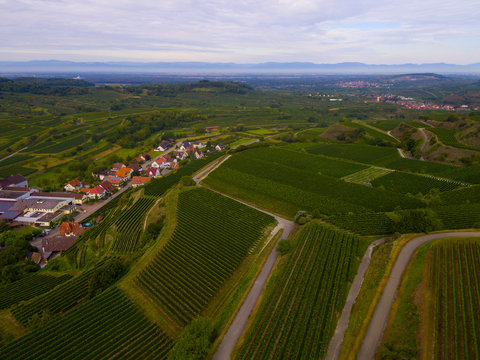 Drohnenaufnahme Bickensohl am Kaiserstuhl