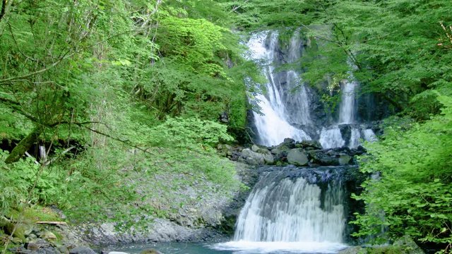長野県木曽 こもれびの滝