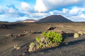 Fototapeta na wymiar Beautiful mountain landscape with volcanoes at sunset in Timanfaya National Park in Lanzarote, Canary Islands, Spain