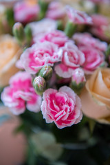 The bouquet of a red carnation