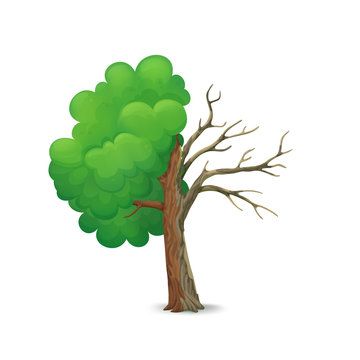 Cartoon tree split in half isolated on a white background. Healthy part with lush green leaves and dry, dying leafless part with cracked bark.