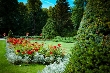 Beautiful palace garden with a lot of flowers and green plants.