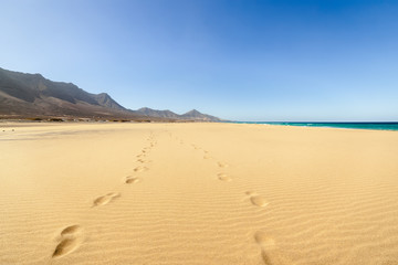 Fuerteventura, Canary Islands, Spain. Cofete beach with endless horizon and traces on sand. Volcanic hills in the background and Atlantic Ocean.