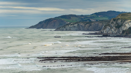 Detail of the coast cliffs in Sopelana, Basque Country