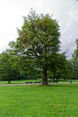 M&uuml;nchen, Englischer Garten