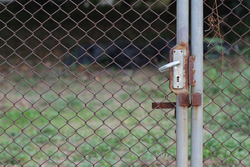 close up Old door and cage